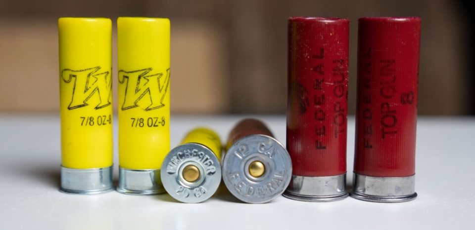 20 gauge shotgun shells