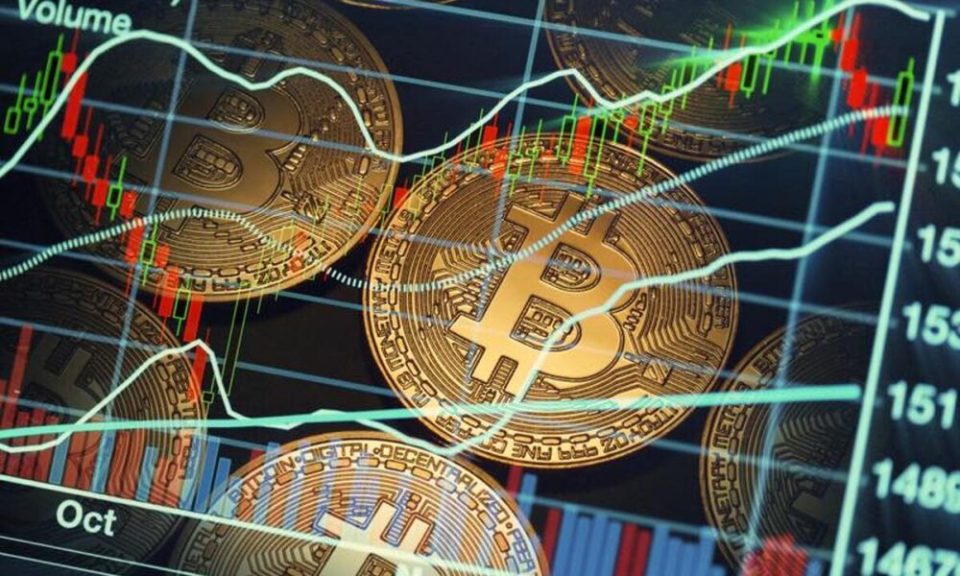bitcoin dice